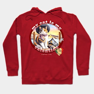 My Cat Is My Valentino Calico Life 3AC Hoodie